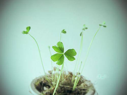 禅域小镇导游词