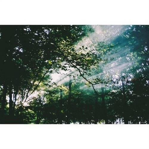 李白含雨的古诗