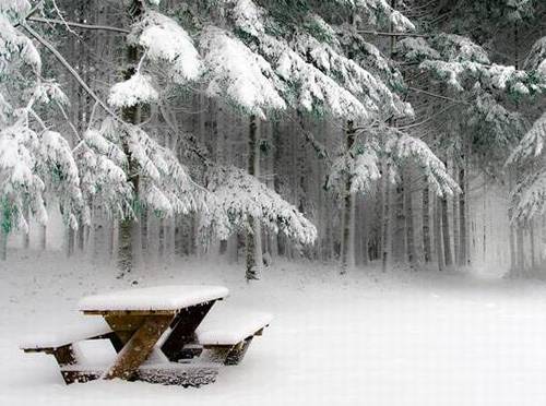 诗中带阳光的诗句