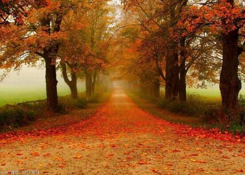 导游词查干湖结尾