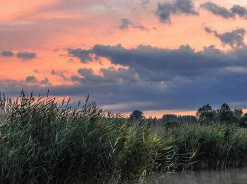 咏雪的爱国思想的诗句