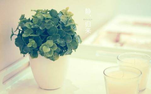 不带脏字的骂人诗句