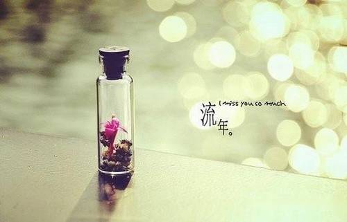 对月当歌古诗词