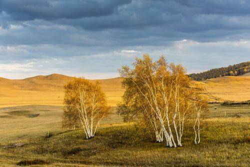 九年级语文古诗文