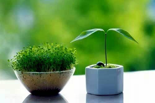 古诗汉江的意思