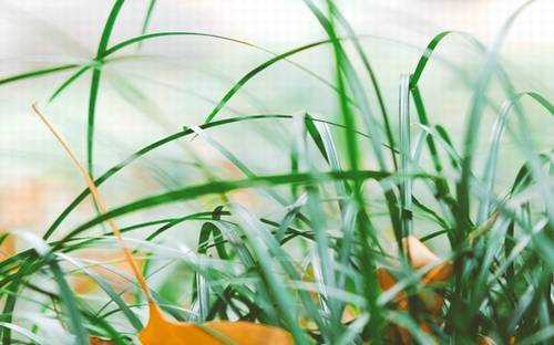 截流纪念园导游词