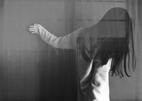 恩爱到老的诗句