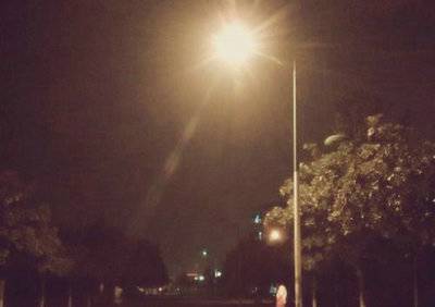 春天小花的诗句