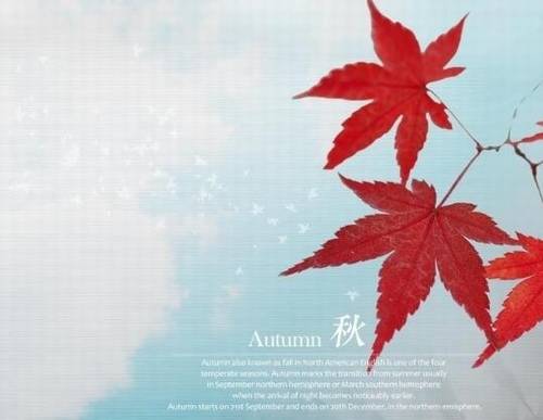 古代梅花的诗句