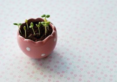 思念故土的诗句