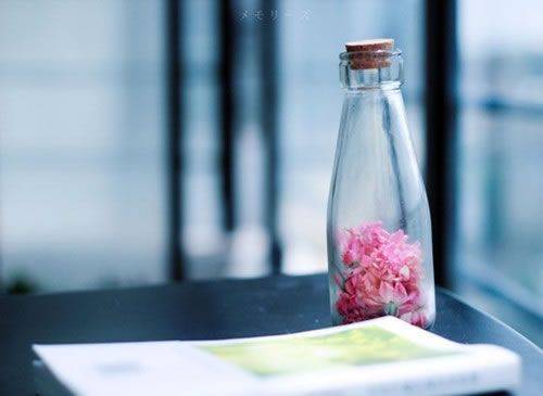 形容时光短的诗句