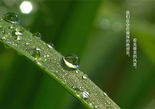 写金榜题名的古诗