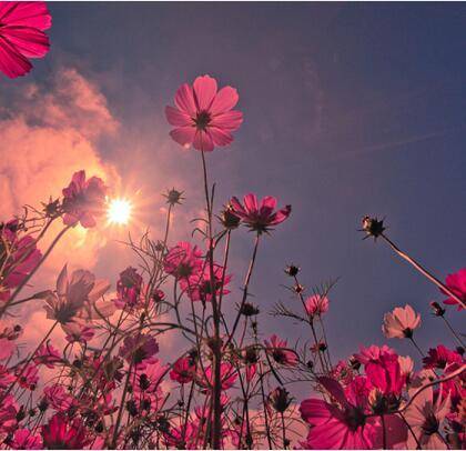 海南旅游团导游词