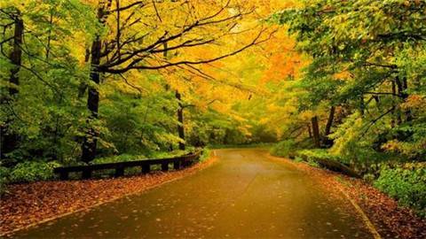 江南油纸伞的诗句