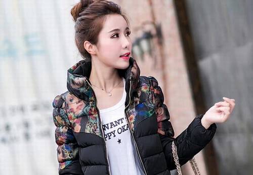 赞美菊花的古诗完整