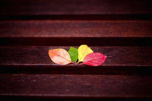 描写石榴的古诗句