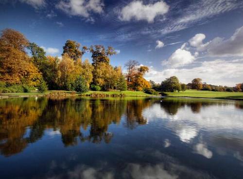 关于榴莲的诗句