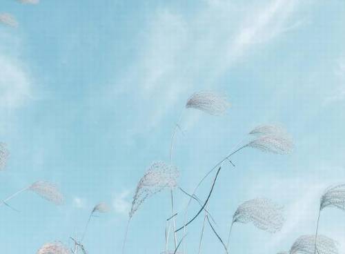 有二十四的诗句