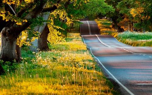 形容人修养的诗句