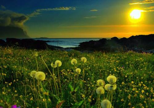 重阳节孝老爱亲古诗