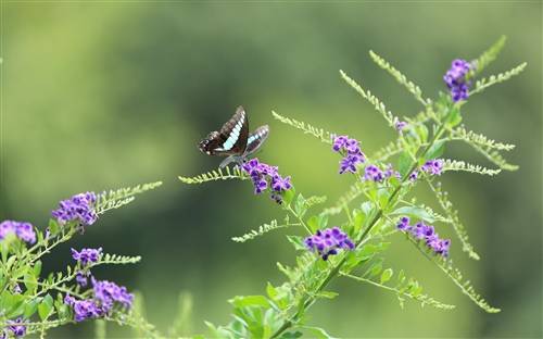 有镜有月的古诗词