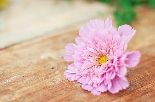 敕勒歌古诗带拼音朗读