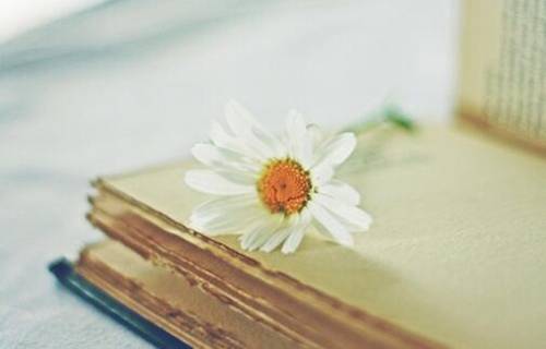 家乡的导游词五年级