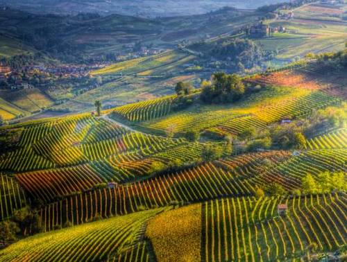 王维深山的诗句