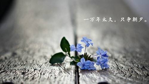 赞美老师的诗句二年级