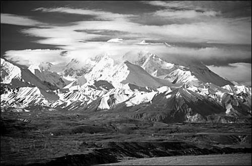 简单的古诗配画春天