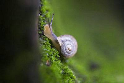 表达节日的诗句