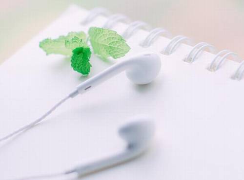 描写生姜的诗句