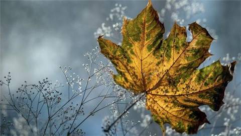 毛笔字帖古诗词