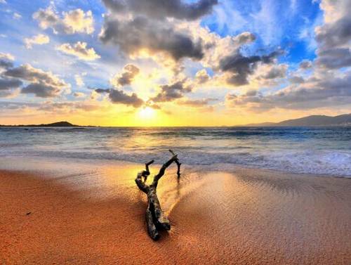 冬季有关的诗句