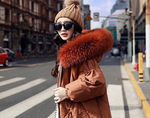 有关天鹅的诗句