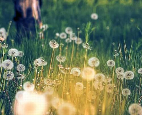 明月山约导游词