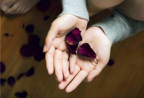 描写春风的诗句古诗词