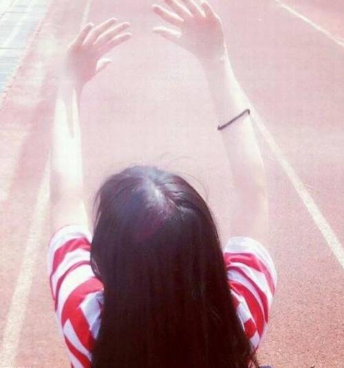 有鸟有树的诗句