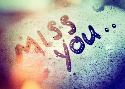 湖滨晴雨景点导游词