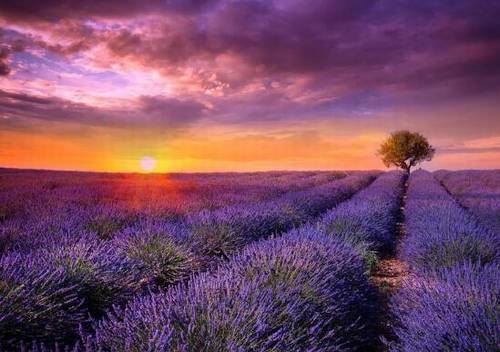 形容工作累诗句