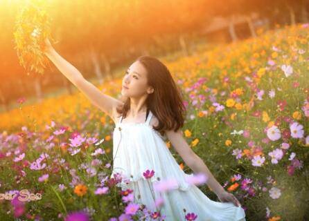 古诗一共几句话