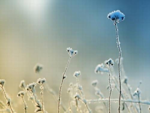 朋友归来的诗句