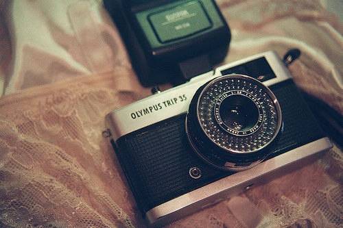 小学秋天的古诗