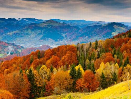 亲情感恩的古诗