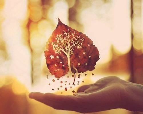 青岛熊牧场导游词