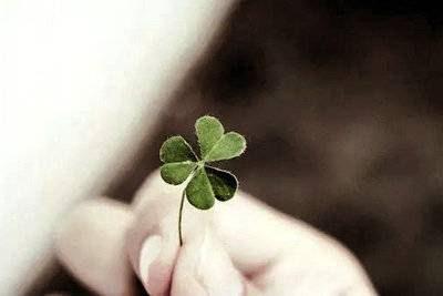 去年今日的诗句