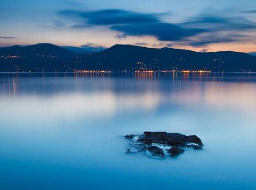 描写梨花古诗词