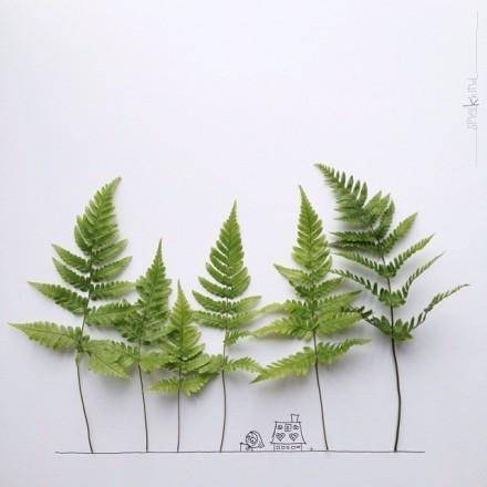 深秋景色的诗句