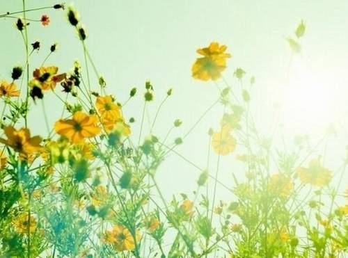 用诗句赞美春雨