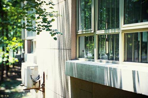 风的古诗读后感